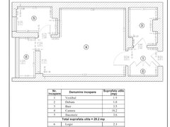Titan - Constantin Brancusi, Lucretiu Patrascanu
