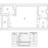 Titan - Constantin Brancusi, Lucretiu Patrascanu